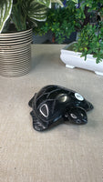 Obsidian Turtle