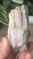 Raw Kunzite