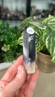 Palm Root Jasper Points