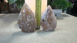 Flower Agate Free Forms