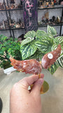 Fire Quartz Wings
