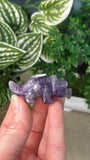 Amethyst Triceratops