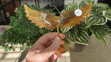 Golden Healer Angel Wings