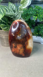 Carnelian Free Form