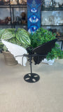 Obsidian and white Jade Devil Wings