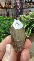 Garden Quartz Points