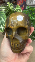 Tiger eye skull