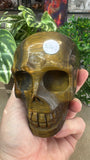 Tiger eye skull