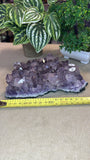 Amethyst Cluster