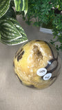 Septarian egg