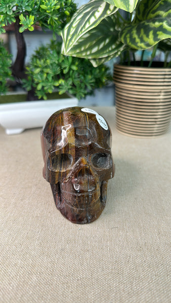 Tiger Iron Skull