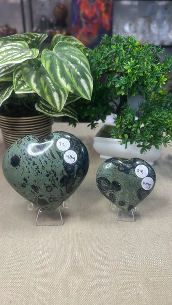 Kambaba Jasper Hearts