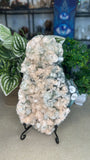 Apophyllite Cluster
