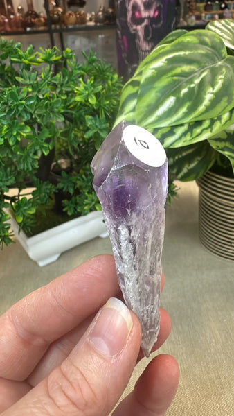 Small Amethyst Sceptres