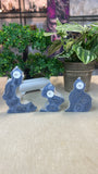 Blue Coral Fossil Points