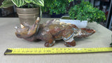 Ocean Jasper Triceratops
