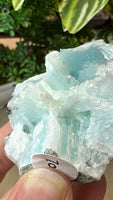 Hemimorphite