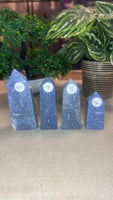 Blue Coral Fossil Points