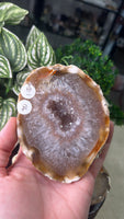 Sliced Agate in custom stand