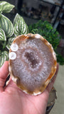 Sliced Agate in custom stand