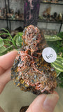 Crocoite from Red Lead Mine