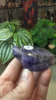 Amethyst turtle