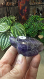 Amethyst turtle