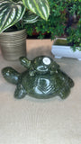 Green jade turtle with baby
