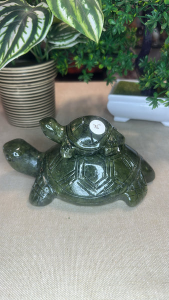 Green jade turtle with baby