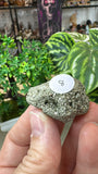 Pyrite clusters