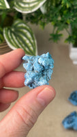 Shattuckite