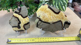 Septarian Slices