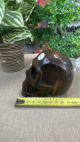 Tiger eye skull