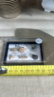Mini fossil box