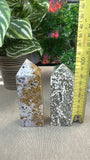 Ocean Jasper points