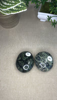Kambaba Jasper Palm Stones