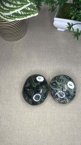 Kambaba Jasper Palm Stones