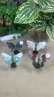 Butterfly Wings