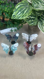 Butterfly Wings