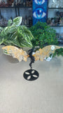 Golden Healer Dragon Wings