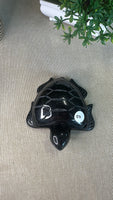 Obsidian Turtle