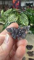 Amethyst cluster butterflies