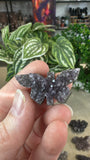 Amethyst cluster butterflies