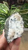 Apophyllite