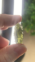 Hrbov Moldavite