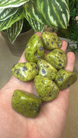Atlantisite Tumble Stones