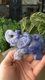 Afghanite Elephant