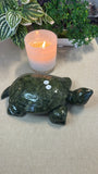 Green Jade Turtle