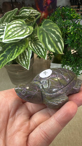 Atlantisite turtle