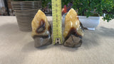 Septarian Flames
